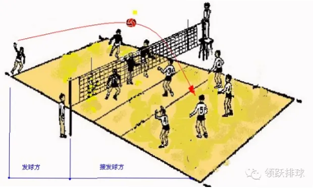 排球自由人一传防守 示意图